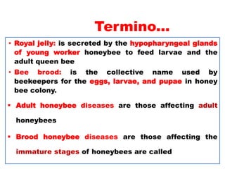 Termino...
• Royal jelly: is secreted by the hypopharyngeal glands
of young worker honeybee to feed larvae and the
adult queen bee
• Bee brood: is the collective name used by
beekeepers for the eggs, larvae, and pupae in honey
bee colony.
 Adult honeybee diseases are those affecting adult
honeybees
 Brood honeybee diseases are those affecting the
immature stages of honeybees are called
 