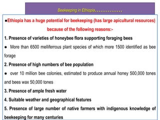Beekeeping in Ethiopia...............
Ethiopia has a huge potential for beekeeping (has large apicultural resources)
because of the following reasons:-
1. Presence of varieties of honeybee flora supporting foraging bees
 More than 6500 melliferrous plant species of which more 1500 identified as bee
forage
2. Presence of high numbers of bee population
 over 10 million bee colonies, estimated to produce annual honey 500,000 tones
and bees wax 50,000 tones
3. Presence of ample fresh water
4. Suitable weather and geographical features
5. Presence of large number of native farmers with indigenous knowledge of
beekeeping for many centuries
 