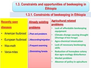 1.3.1. Constraints of beekeeping in Ethiopia
Recently seen
diseases
• American foulbrood
• European foulbrood
• Wax-moth
• Varoa-mites
Agricultural related
problems
• Lack of affordable beekeeping
equipment
• Climate change causing drought
(Shortage of bee forage)
• Agro-chemical intoxication
• Lack of necessary beekeeping
skills
• Reduction of honeybee colony
due agro-ecology disturbance
• Market problem
• Absence of policy in apiculture
Already existing
problems
Pest and predators
Absconding/migration
Frequent swarming
Diminishing forests
1.3. Constraints and opportunities of beekeeping in
Ethiopia
 