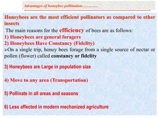 Pollination service………..
Honeybees are the most efficient pollinators as compared to other
insects
The main reasons for the efficiency of bees are as follows:
1) Honeybees are general foragers
2) Honeybees Have Constancy (Fidelity)
On a single trip, honey bees forage from a single source of nectar or
pollen (flower) called constancy or fidelity
3) Honeybees are Large in population size
4) Move to any area (Transportation)
5) Pollinate in all areas and seasons
6) Less affected in modern mechanized agriculture
Advantages of honeybee pollination…………
 
