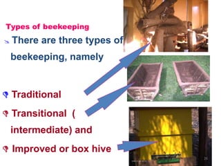 Types of beekeeping
 There are three types of
beekeeping, namely
 Traditional
 Transitional (
intermediate) and
 Improved or box hive
26
 