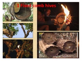 1 Fixed comb hives
 