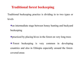 Traditional forest beekeeping
Traditional beekeeping practice is dividing in to two types or
levels
an intermediate stage between honey hunting and backyard
beekeeping
practiced by placing hives in the forest on very long trees
Forest beekeeping is very common in developing
countries and also in Ethiopia especially around the forest-
covered areas
 