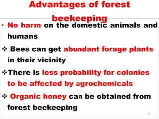 Advantages of forest
beekeeping
• No harm on the domestic animals and
humans
 Bees can get abundant forage plants
in their vicinity
There is less probability for colonies
to be affected by agrochemicals
 Organic honey can be obtained from
forest beekeeping
33
 