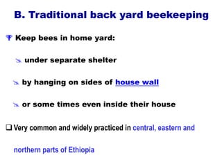 B. Traditional back yard beekeeping
 Keep bees in home yard:
 under separate shelter
 by hanging on sides of house wall
 or some times even inside their house
Very common and widely practiced in central, eastern and
northern parts of Ethiopia
 
