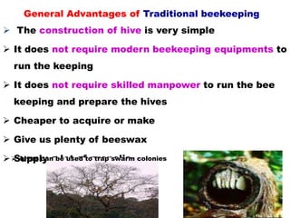 General Advantages of Traditional beekeeping
 The construction of hive is very simple
 It does not require modern beekeeping equipments to
run the keeping
 It does not require skilled manpower to run the bee
keeping and prepare the hives
 Cheaper to acquire or make
 Give us plenty of beeswax
 Supply a lot of propolis
37
 hives can be used to trap swarm colonies
 