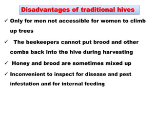  Only for men not accessible for women to climb
up trees
 The beekeepers cannot put brood and other
combs back into the hive during harvesting
 Honey and brood are sometimes mixed up
 Inconvenient to inspect for disease and pest
infestation and for internal feeding
Disadvantages of traditional hives
 
