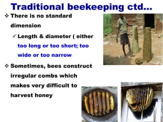 Traditional beekeeping ctd…
 There is no standard
dimension
 Length & diameter ( either
too long or too short; too
wide or too narrow
 Sometimes, bees construct
irregular combs which
makes very difficult to
harvest honey
 
