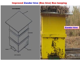 Improved Zander hive (Box hive) Bee keeping
Zander hive
 