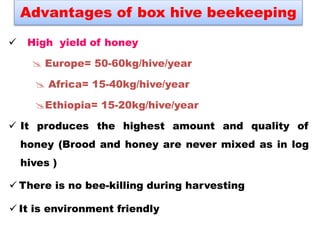 Advantages of box hive beekeeping
 High yield of honey
 Europe= 50-60kg/hive/year
 Africa= 15-40kg/hive/year
Ethiopia= 15-20kg/hive/year
 It produces the highest amount and quality of
honey (Brood and honey are never mixed as in log
hives )
 There is no bee-killing during harvesting
 It is environment friendly
 