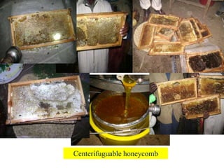 Centerifuguable honeycomb
 