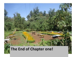 The End of Chapter one!
 