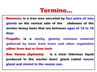 Termino...
• Beeswax: is a true wax secreted by four pairs of wax
glands on the ventral side of the abdomen of the
worker honey bees that are between ages of 12 to 18
days
• Propolis: is a sticky, gummy resinous material
gathered by bees from trees and other vegetation
either from bud or from bark
• Bee Venom (Apitoxin): is a clear Odorless liquid
produced in the worker bees’ gland called venom
gland and stored in the venom sac.
 
