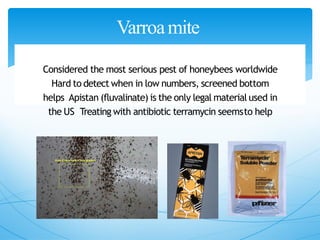 Varroamite
Considered the most serious pest of honeybees worldwide
Hard to detect when in low numbers, screened bottom
helps Apistan (fluvalinate) is the only legal material used in
the US Treating with antibiotic terramycin seemsto help
 