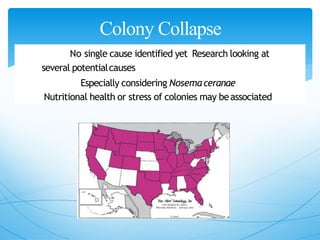 Colony Collapse
DisorderNo single cause identified yet Research looking at
several potentialcauses
Especially considering Nosemaceranae
Nutritional health or stress of colonies may beassociated
 