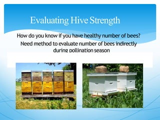 Evaluating HiveStrength
How do you know if you have healthy number of bees?
Need method to evaluate number of bees indirectly
during pollinationseason
 
