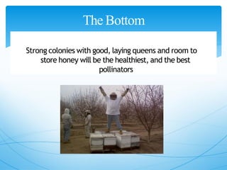The Bottom
Line
Strong colonies with good, laying queens and room to
store honey will be the healthiest, and the best
pollinators
 
