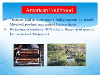  Terramycin used as a preventative feeding treatment 3x annually
Mixed withpowderedsugarandsprinkled overframes
 No treatment is considered 100% effective Reservoirs of spores in
feralcoloniesand oldequipment
AmericanFoulbrood
 