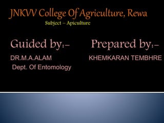 JNKVV College Of Agriculture, Rewa
Subject – Apiculture
Guided by:- Prepared by:-
DR.M.A.ALAM KHEMKARAN TEMBHRE
Dept. Of Entomology
 