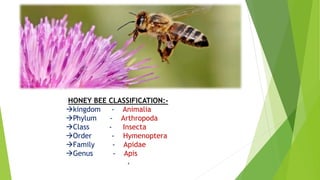 Apiculture ppt | PPTX