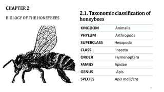 Introduction to Apiculture for Animal science | PPTX