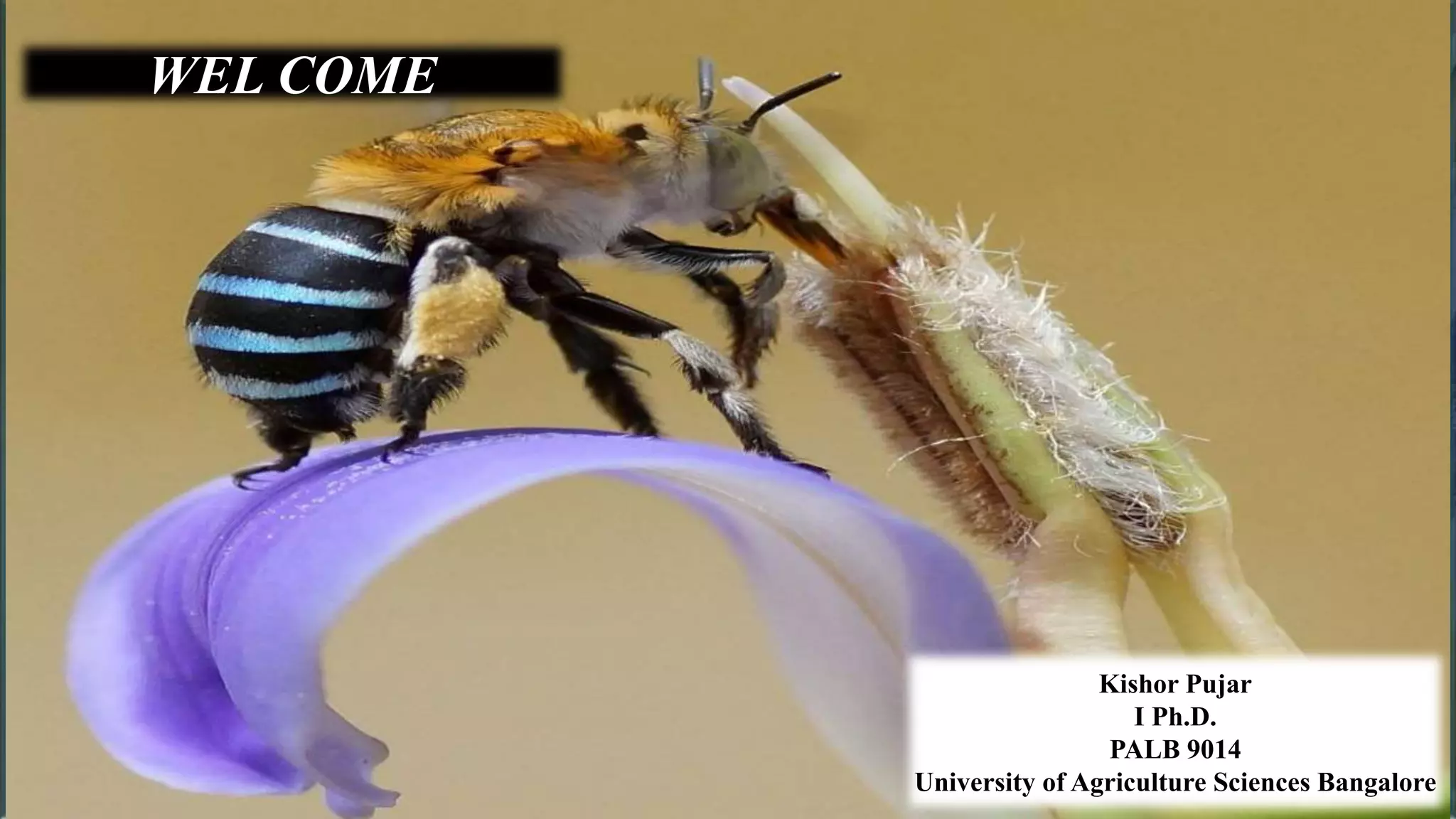 Kishor Pujar
I Ph.D.
PALB 9014
University of Agriculture Sciences Bangalore
WEL COME
 