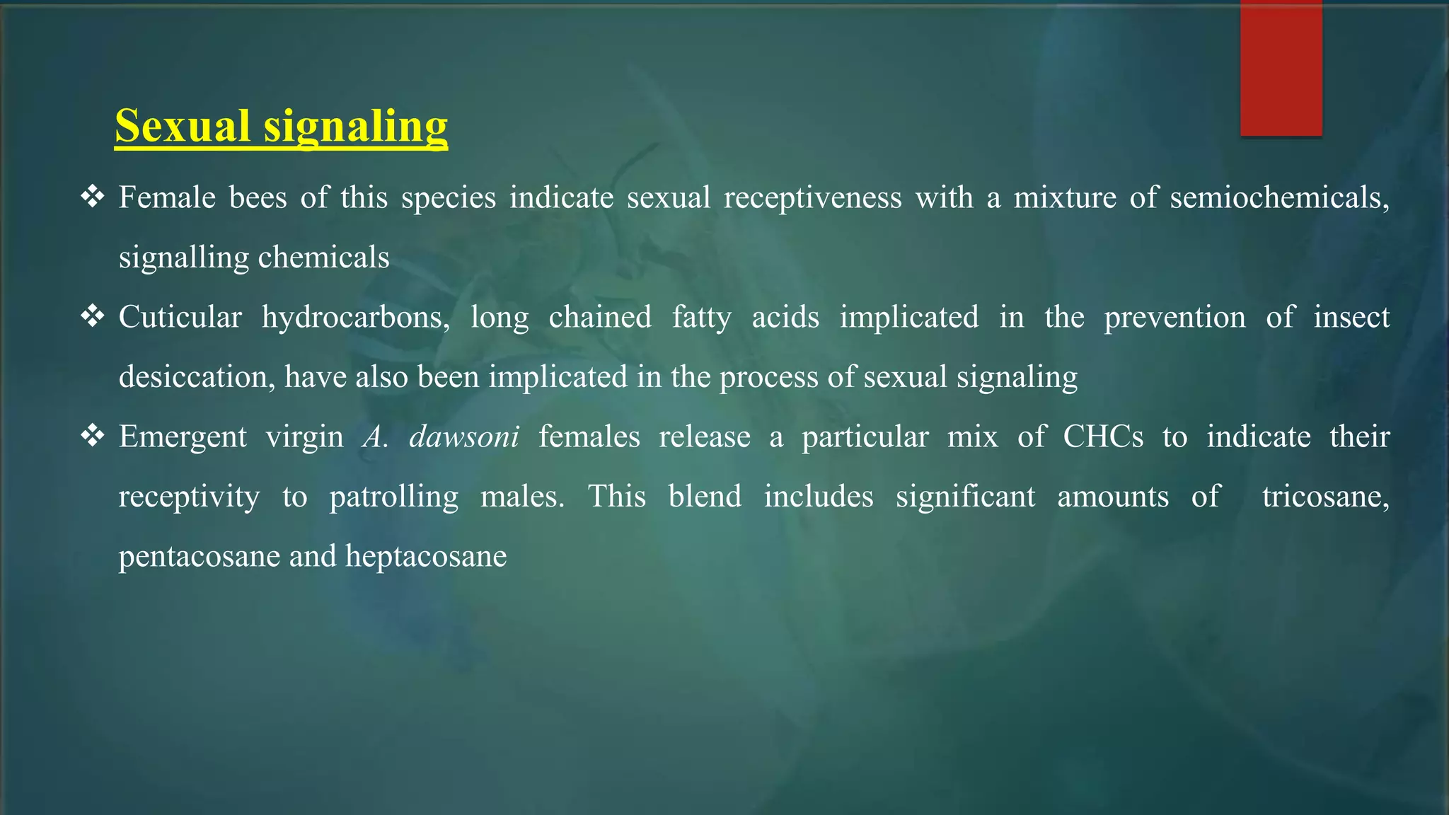Sexual signaling
 Female bees of this species indicate sexual receptiveness with a mixture of semiochemicals,
signalling chemicals
 Cuticular hydrocarbons, long chained fatty acids implicated in the prevention of insect
desiccation, have also been implicated in the process of sexual signaling
 Emergent virgin A. dawsoni females release a particular mix of CHCs to indicate their
receptivity to patrolling males. This blend includes significant amounts of tricosane,
pentacosane and heptacosane
 