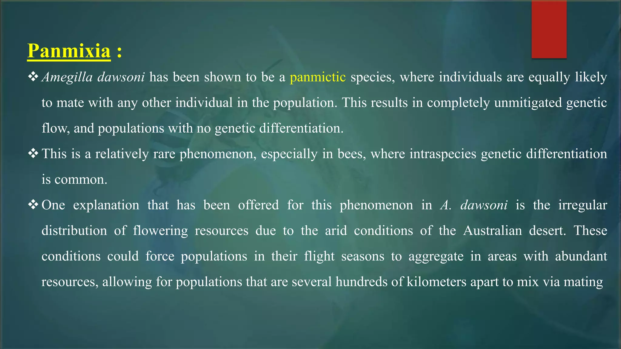 Panmixia :
Amegilla dawsoni has been shown to be a panmictic species, where individuals are equally likely
to mate with any other individual in the population. This results in completely unmitigated genetic
flow, and populations with no genetic differentiation.
This is a relatively rare phenomenon, especially in bees, where intraspecies genetic differentiation
is common.
One explanation that has been offered for this phenomenon in A. dawsoni is the irregular
distribution of flowering resources due to the arid conditions of the Australian desert. These
conditions could force populations in their flight seasons to aggregate in areas with abundant
resources, allowing for populations that are several hundreds of kilometers apart to mix via mating
 