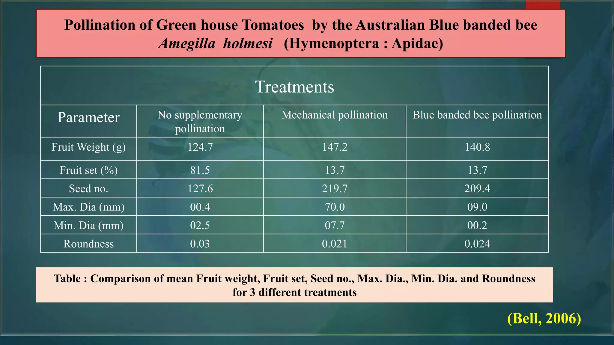 Pollination of Green house Tomatoes by the Australian Blue banded bee
Amegilla holmesi (Hymenoptera : Apidae)
Treatments
Parameter No supplementary
pollination
Mechanical pollination Blue banded bee pollination
Fruit Weight (g) 124.7 147.2 140.8
Fruit set (%) 81.5 13.7 13.7
Seed no. 127.6 219.7 209.4
Max. Dia (mm) 00.4 70.0 09.0
Min. Dia (mm) 02.5 07.7 00.2
Roundness 0.03 0.021 0.024
Table : Comparison of mean Fruit weight, Fruit set, Seed no., Max. Dia., Min. Dia. and Roundness
for 3 different treatments
(Bell, 2006)
 