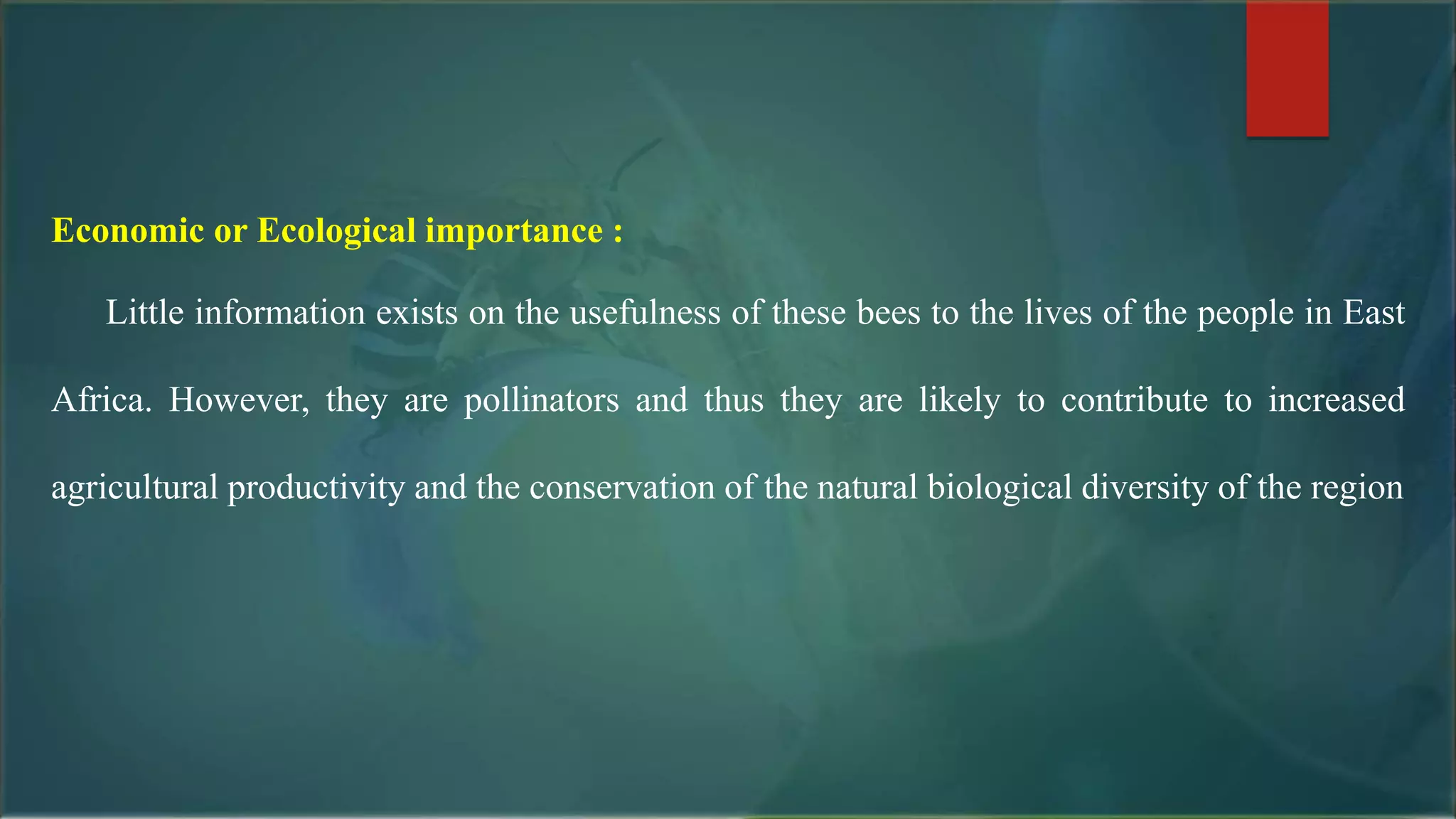 Economic or Ecological importance :
Little information exists on the usefulness of these bees to the lives of the people in East
Africa. However, they are pollinators and thus they are likely to contribute to increased
agricultural productivity and the conservation of the natural biological diversity of the region
 