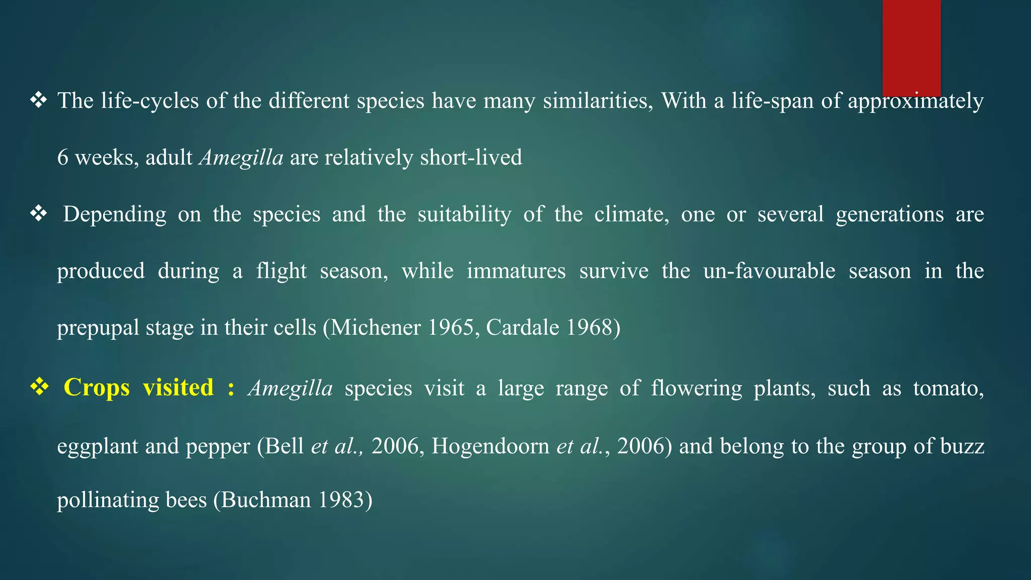  The life-cycles of the different species have many similarities, With a life-span of approximately
6 weeks, adult Amegilla are relatively short-lived
 Depending on the species and the suitability of the climate, one or several generations are
produced during a flight season, while immatures survive the un-favourable season in the
prepupal stage in their cells (Michener 1965, Cardale 1968)
 Crops visited : Amegilla species visit a large range of flowering plants, such as tomato,
eggplant and pepper (Bell et al., 2006, Hogendoorn et al., 2006) and belong to the group of buzz
pollinating bees (Buchman 1983)
 