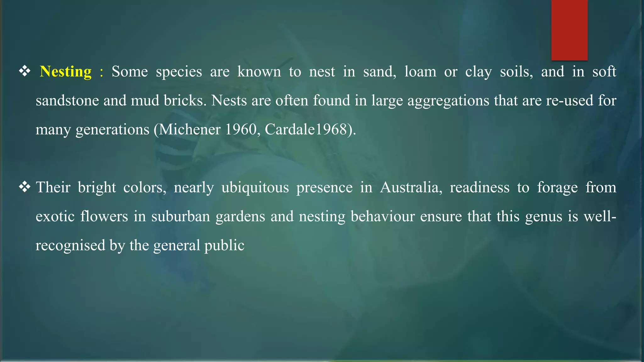 Nesting : Some species are known to nest in sand, loam or clay soils, and in soft
sandstone and mud bricks. Nests are often found in large aggregations that are re-used for
many generations (Michener 1960, Cardale1968).
 Their bright colors, nearly ubiquitous presence in Australia, readiness to forage from
exotic flowers in suburban gardens and nesting behaviour ensure that this genus is well-
recognised by the general public
 