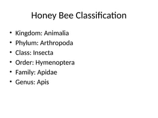 Comprehensive Overview of Apiculture and Honey Bee Species | PPTX