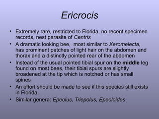Guide to the Bee Genera within Apidae of Eastern North America, Part 1 ...