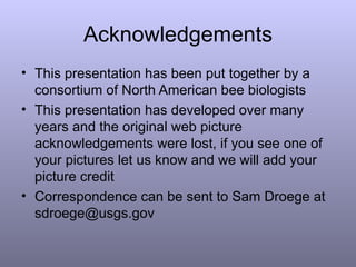 Acknowledgements <ul><li>This presentation has been put together by a consortium of North American bee biologists </li></u...
