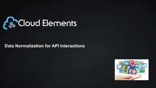 Data Normalization for API Interactions

 