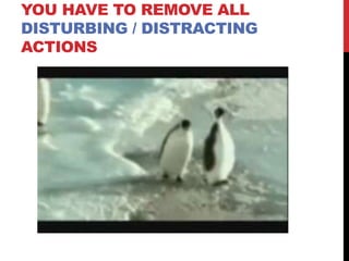 YOU HAVE TO REMOVE ALL
DISTURBING / DISTRACTING
ACTIONS
 