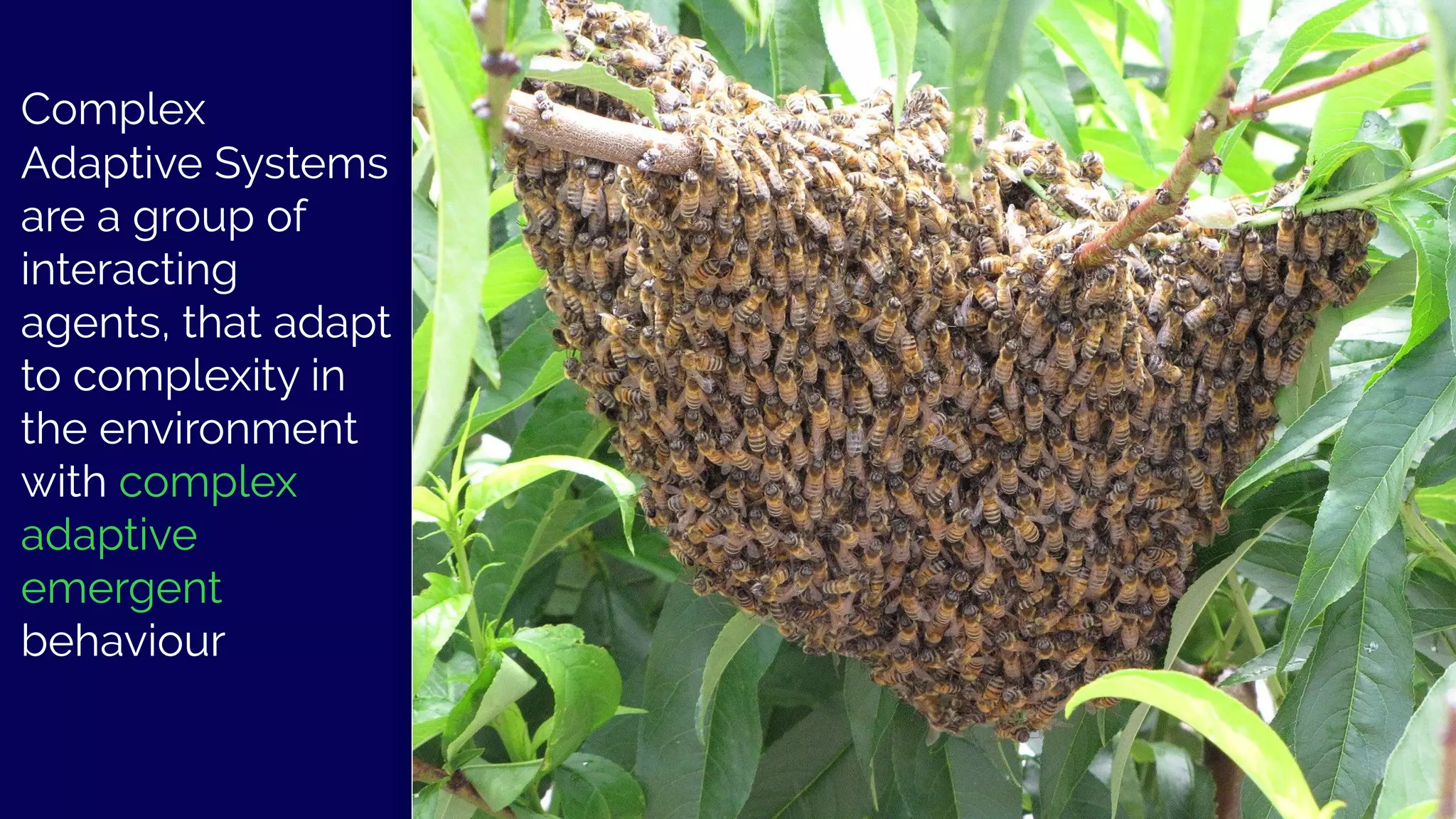 Complex
Adaptive Systems
are a group of
interacting
agents, that adapt
to complexity in
the environment
with complex
adaptive
emergent
behaviour
26@kvantomme -
 