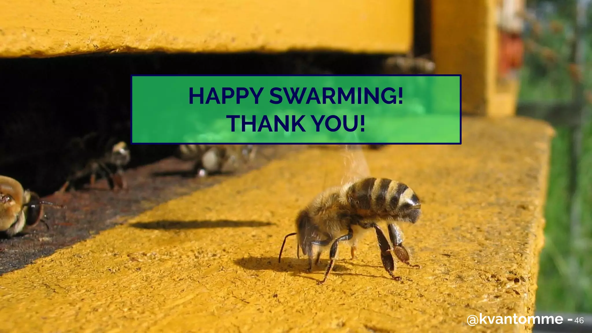 HAPPY SWARMING!
THANK YOU!
46@kvantomme -
 