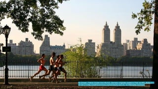 By Gruban / Patrick Gruban from Munich, Germany (originally posted to Flickr as IMG_9038) [CC-BY- 
SA-2.0 (http://creativecommons.org/licenses/by-sa/2.0)], via Wikimedia Commons 
 