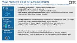 WebSphere Connect and API Discovery | PDF