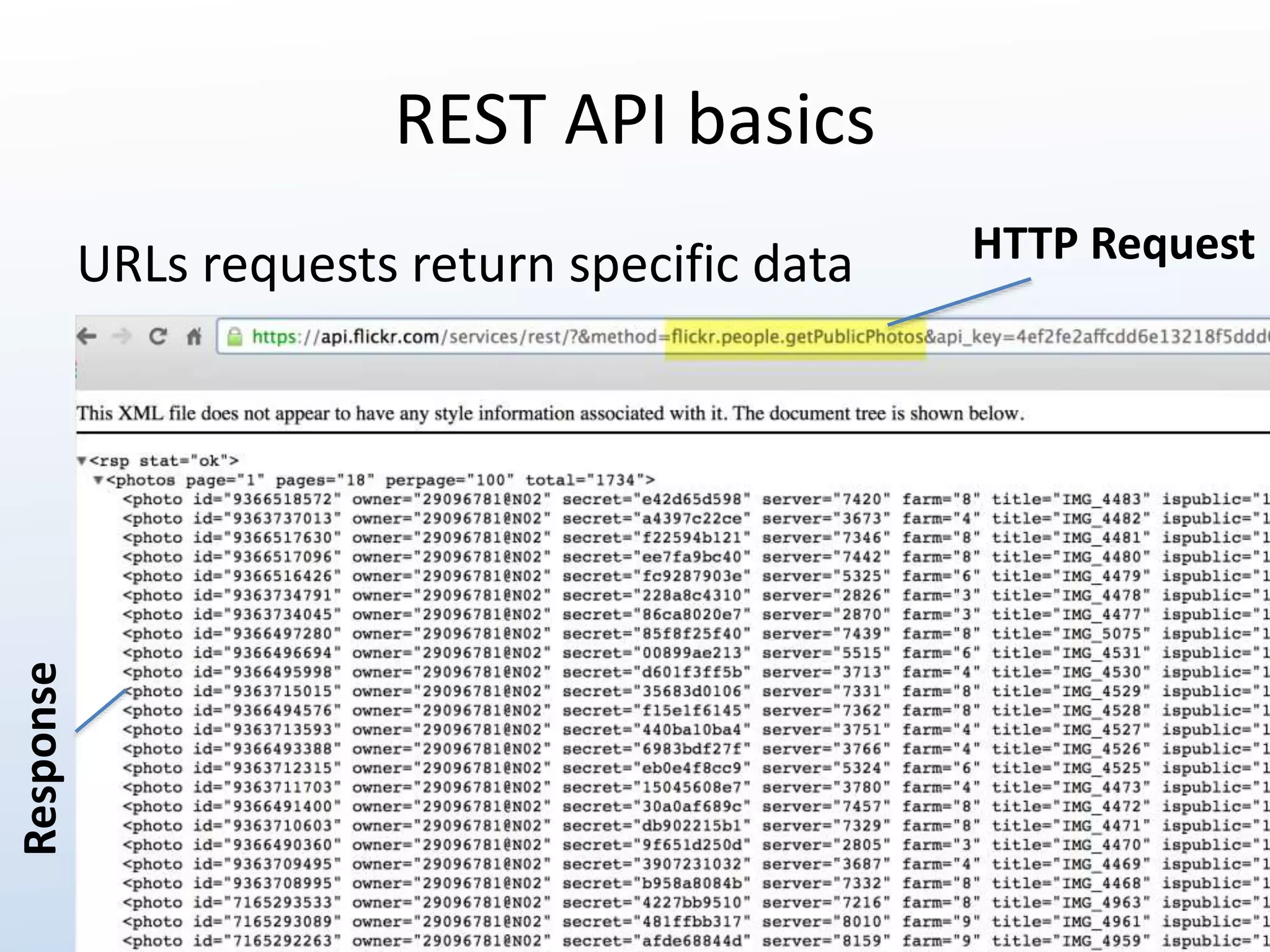 REST API basics 
URLs requests return specific data HTTP Request 
Response 
 