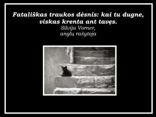 Fatali?kas traukos d?snis: kai tu dugne, viskas krenta ant tav?s. Silvija Vorner, angl? ra?ytoja 
