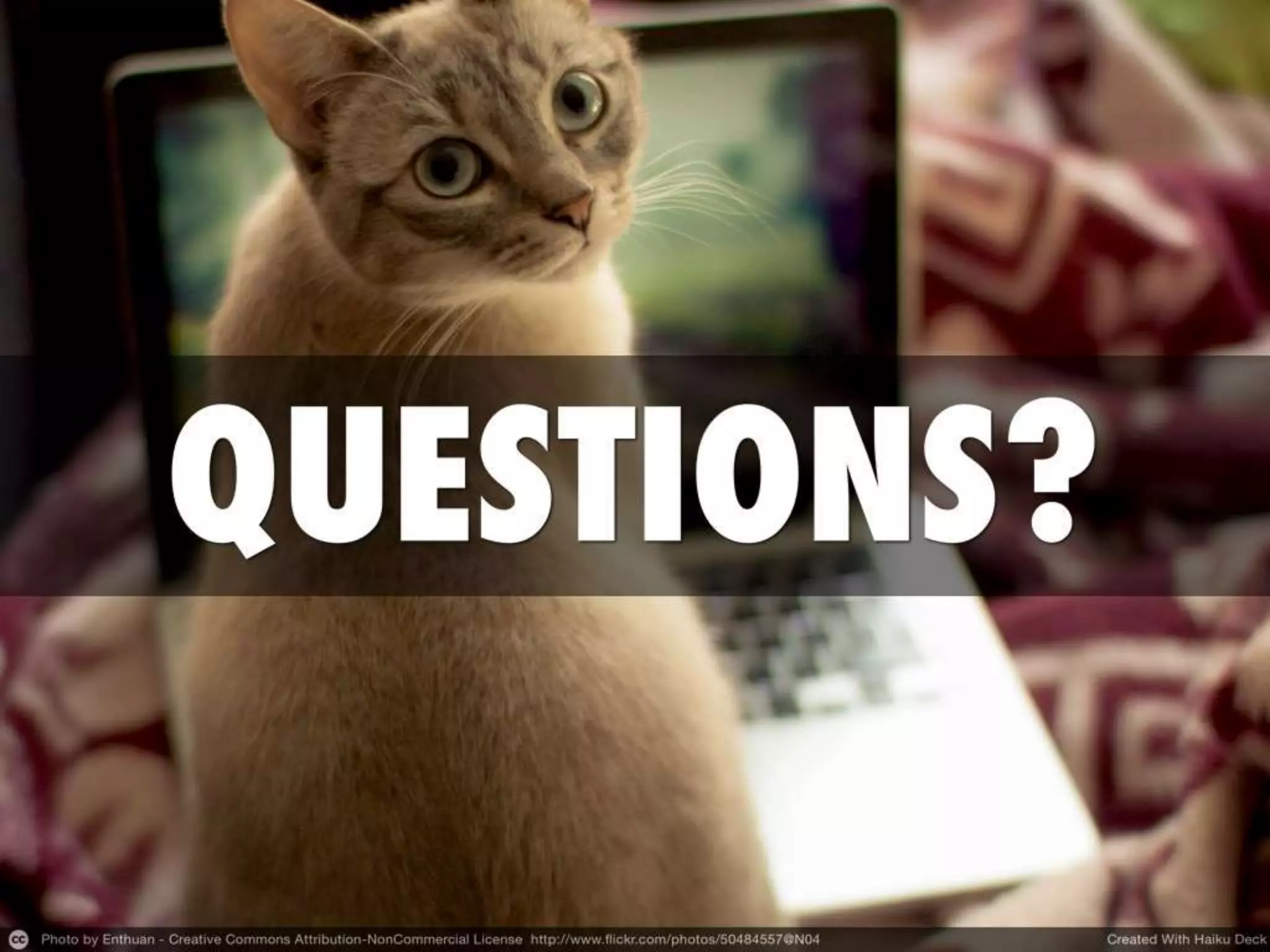 * Cat photo ends any intelligent discussion on the internet
* … but I’d love to hear your questions!
 