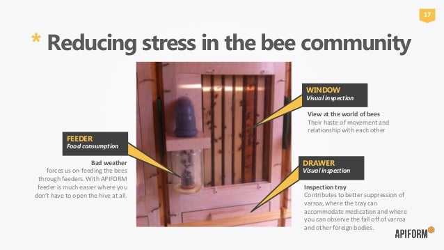 Apiform Sit In Beekeeping For All English Version