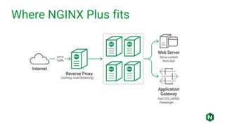 Where NGINX Plus fits
 
