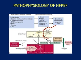 PATHOPHYSIOLOGY OF HFPEF
 