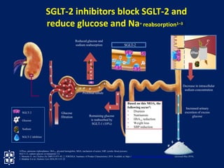 Remaining glucose
is reabsorbed by
SGLT-1 (10%)
Glucose
filtration
SGLT-2
Glucose
SGLT-2 inhibitor
Sodium
ATPase, adenosine triphosphatase; HbA1c, glycated hemoglobin; MOA, mechanism of action; SBP, systolic blood pressure;
SGLT-1/2, sodium–glucose co-transporter-1/2
1. Marsenic O. Am J Kidney Dis 2009;53:875–85; 2. FORXIGA. Summary of Product Characteristics 2019. Available at: https://www.medicines.org.uk/emc/product/2865/smpc (accessed May 2019);
3. Mudaliar S et al. Diabetes Care 2016;39:1115–22
Decrease in intracellular
sodium concentration
Proximal tubule
Reduced glucose and
sodium reabsorption SGLT-2
Increased urinary
excretion of excess
glucose
SGLT-2 inhibitors block SGLT-2 and
reduce glucose and Na+ reabsorption1–3
Based on this MOA, the
following occur3:
• Diuresis
• Natriuresis
• HbA1c reduction
• Weight loss
• SBP reduction
 