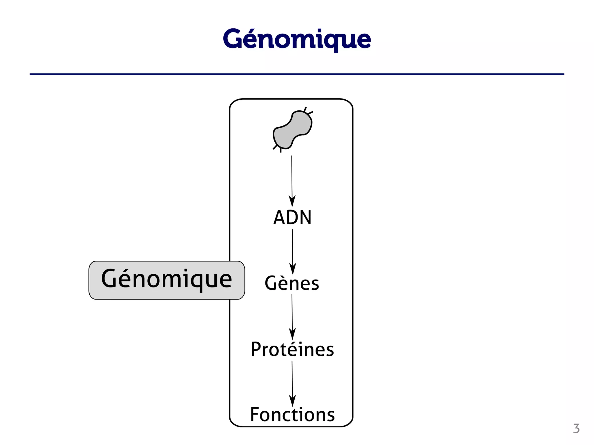Génomique
3




 