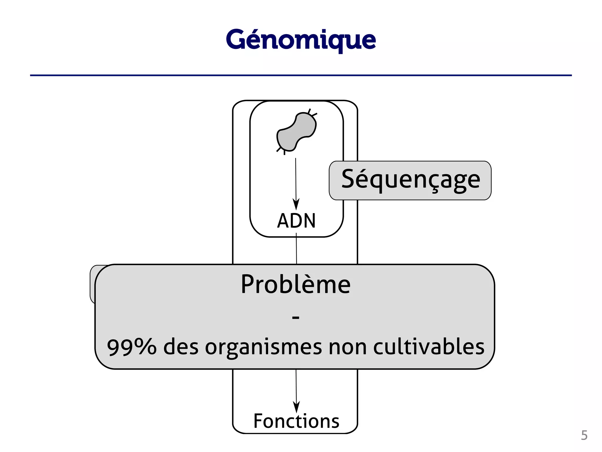 Génomique
5








 